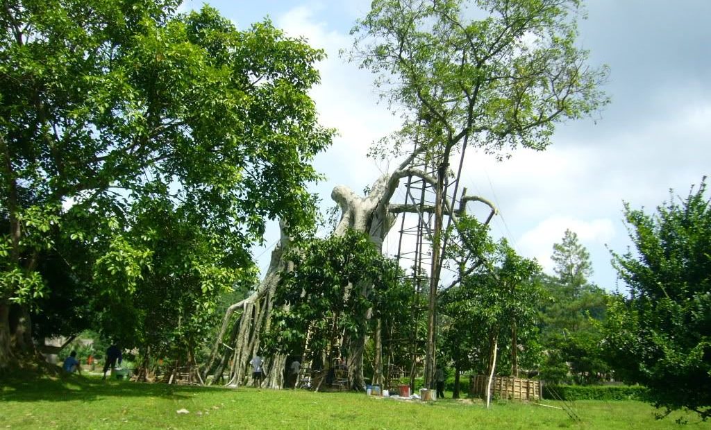 Một ngày về nguồn Tân Trào